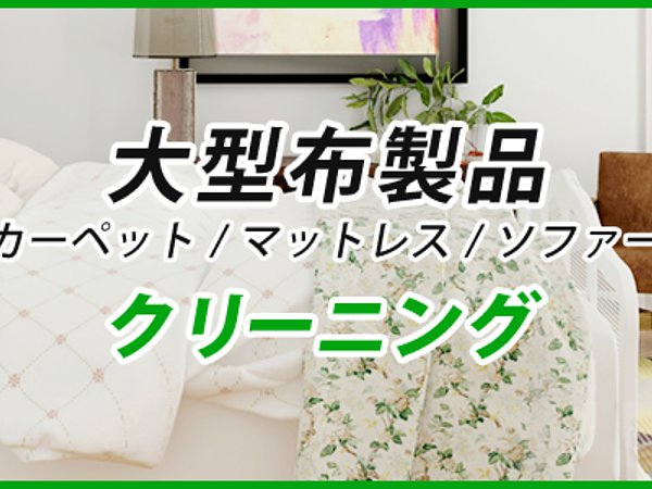 大型布製品クリーニングの画像
