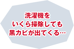 洗濯機をいくら掃除しても黒カビが出てくる…